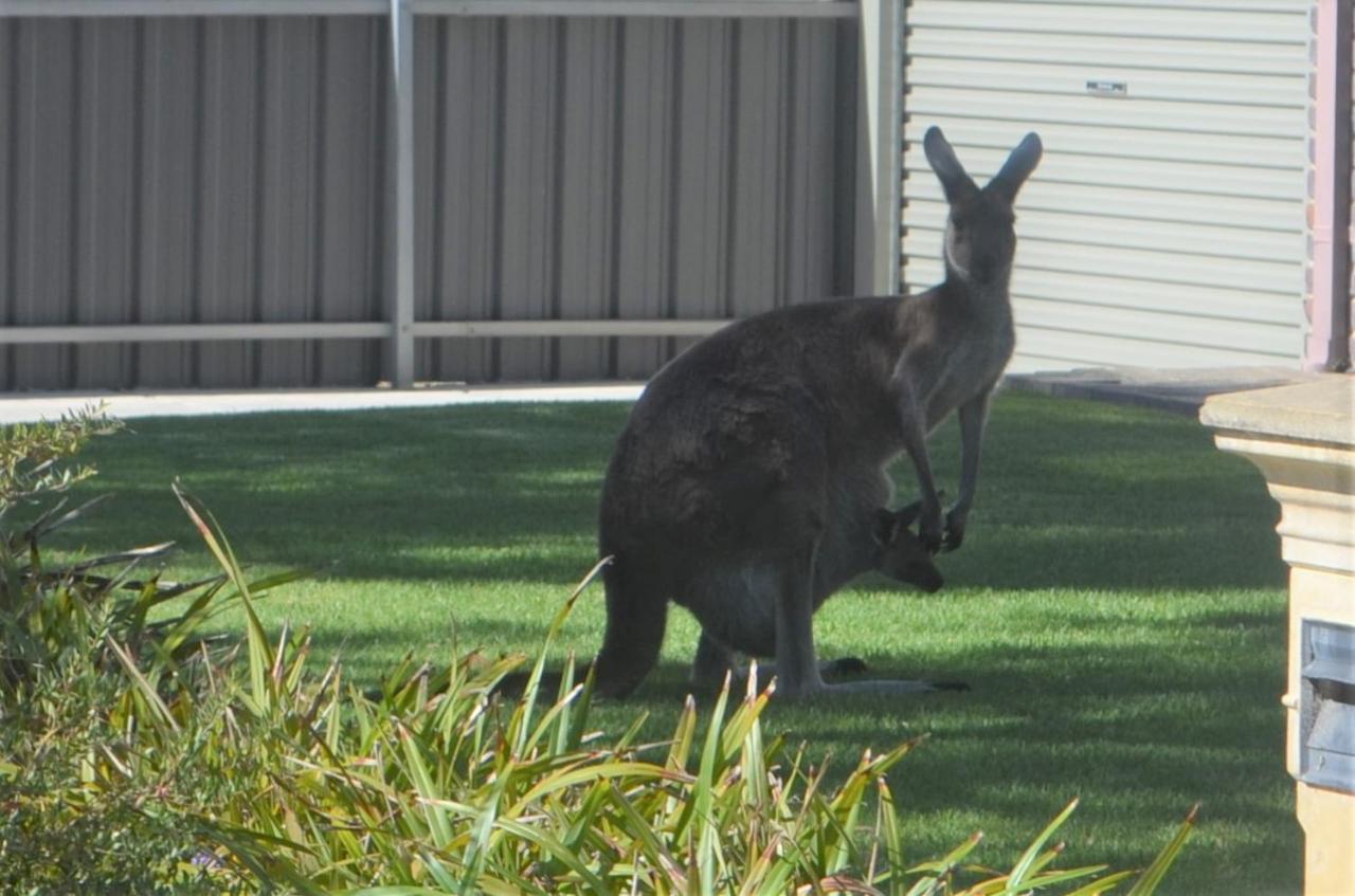The Lamb Shack Hotel Aldinga Beach Екстериор снимка